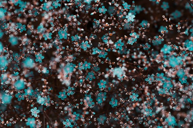 Mariana Guimarães ~encontra a tua natureza de ser